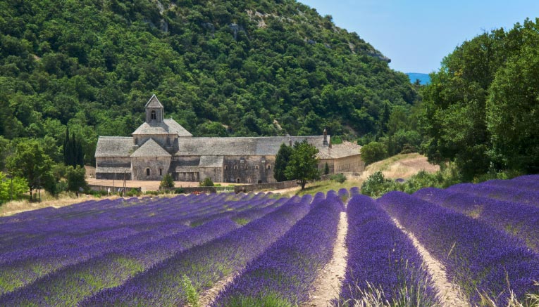 Bpti9-provence-biking-5